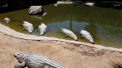 ?
